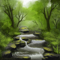 Forest Brook